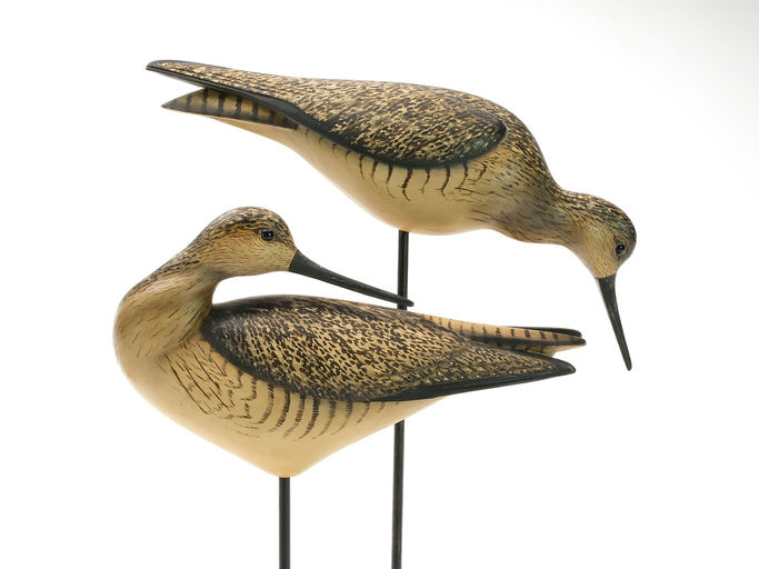 Bill Gibian – Pair of Yellowlegs – 2025