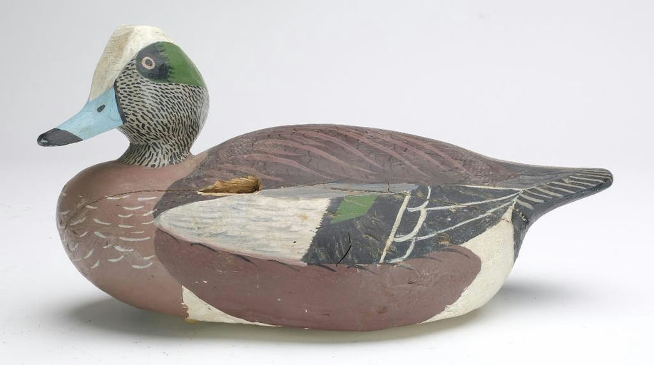 Lloyd Tyler – Wigeon – 2024