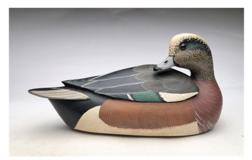 Grayson Chesser – Preening Wigeon – 2020