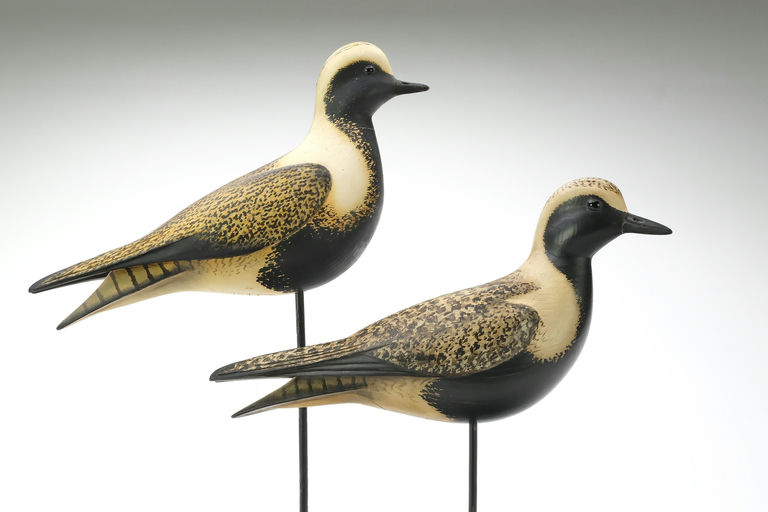 Bill Gibian – Plover – 2025