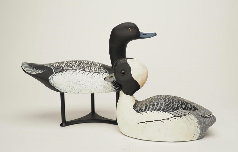 Tim Lawson — Two Decoys