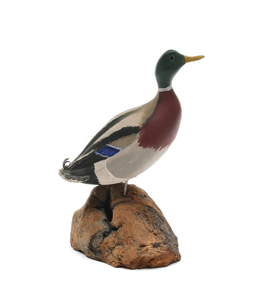Russ Burr – Mallard – 2026
