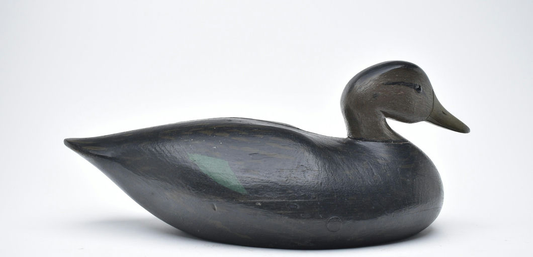 Joseph Lincoln – Black Duck – 2025