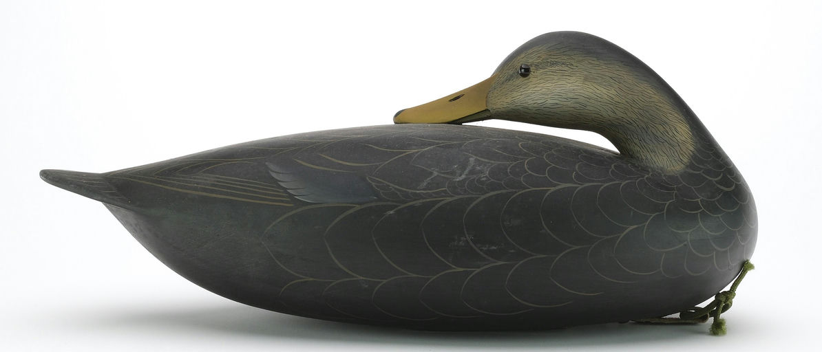 George Strunk – Black Duck – 2024