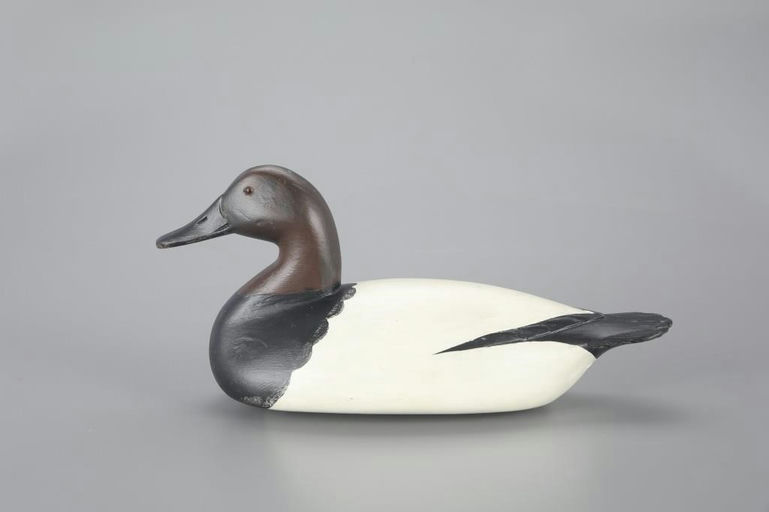 Richard Janson – Early Canvasback – 2023
