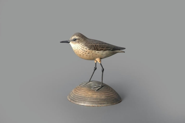 Elmer Crowell – Sanderling on Clamshell – 2024