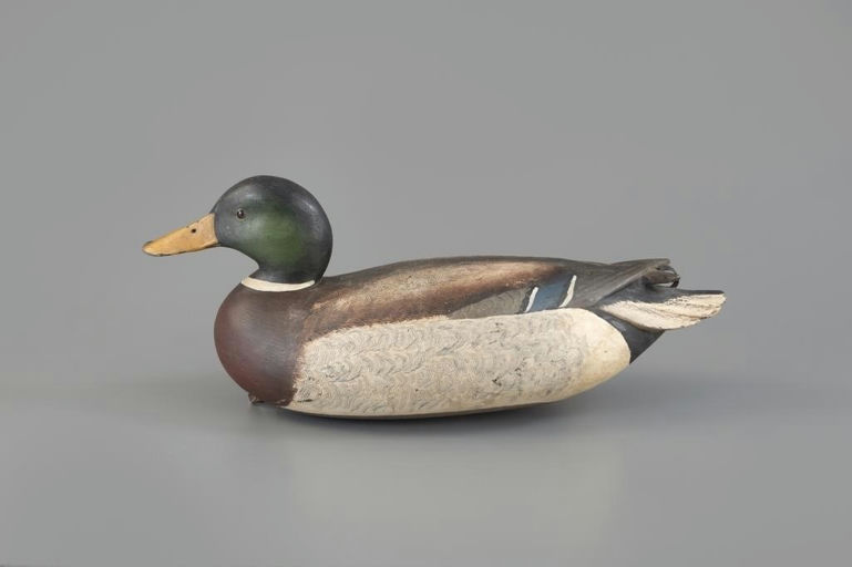 Bob White – White-Rig Oversize Mallard – 2025