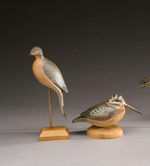 Ken Kirby – Mourning and Woodcock Dove – 2009