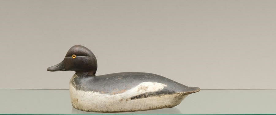 Chauncey Wheeler – Goldeneye Hen – 2010