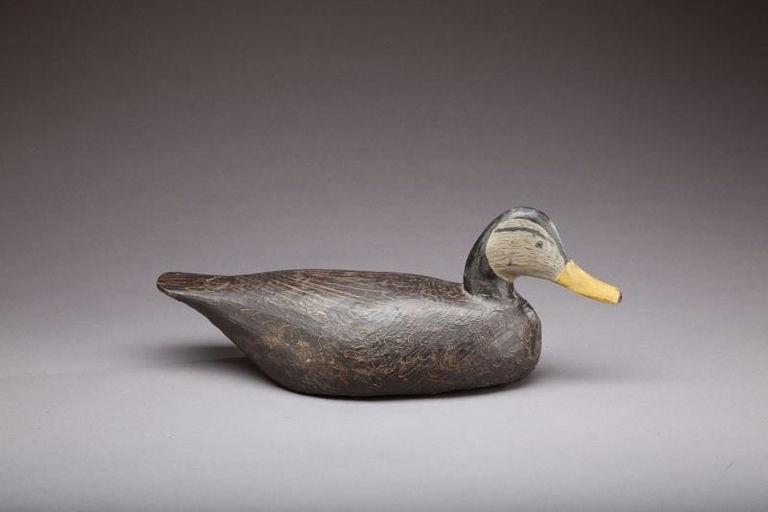 Miles Hancock – Black Duck – 2013