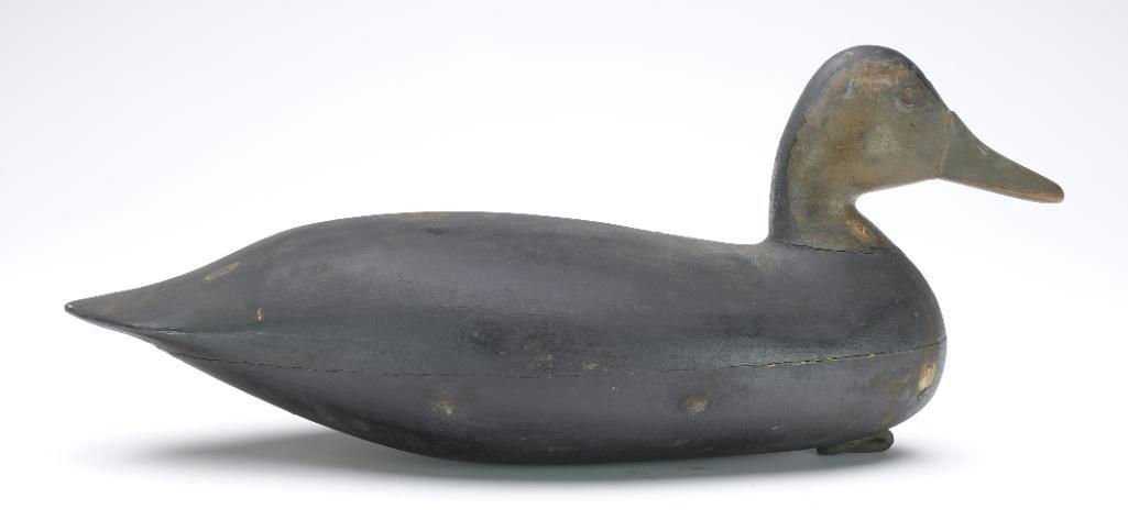 Harry V. Shourds – Black Duck – 2023