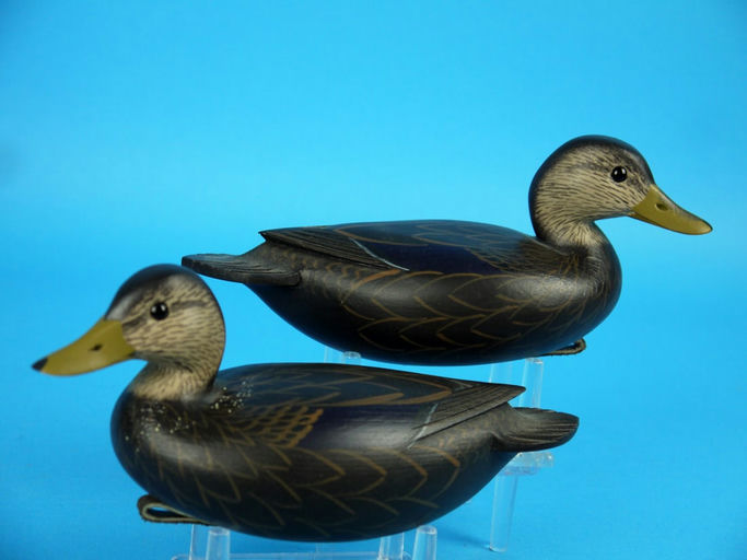 Rick Brown – Black Duck Pair – 2026