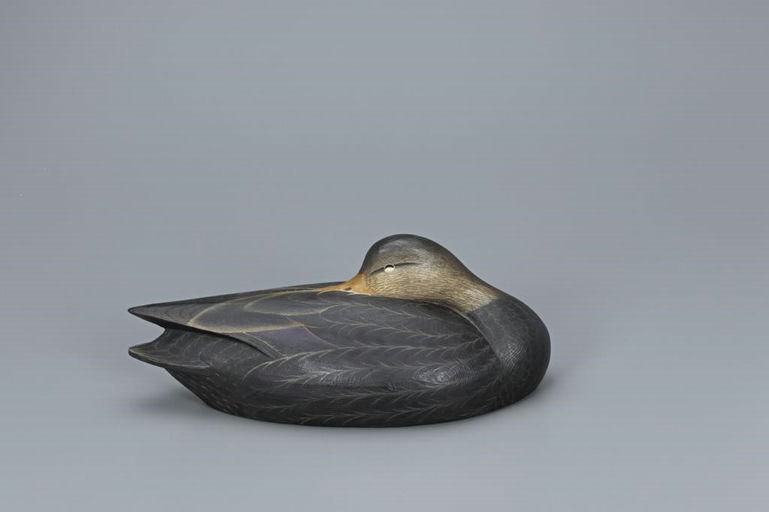 Marty Hanson – Sleeping Black Duck – 2019