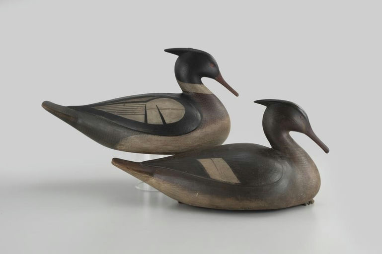 Mark McNair – "High-Tri" Merganser Pair – 2026