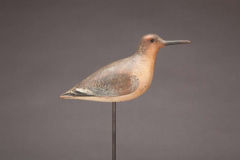 John Dilley – Red Knot – 2011