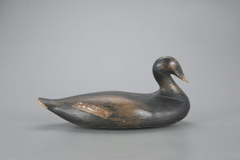 Gus Wilson – "Viking Rig" Scoter – 2023