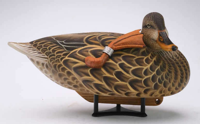 Tom Matus – Mallard Hen – 2024