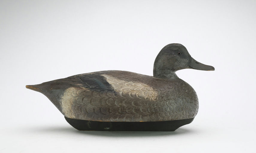 Ben Schmidt – Wigeon Hen – 2025