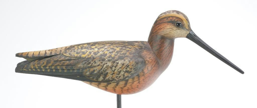 Bill Gibian – Dowitcher – 2023