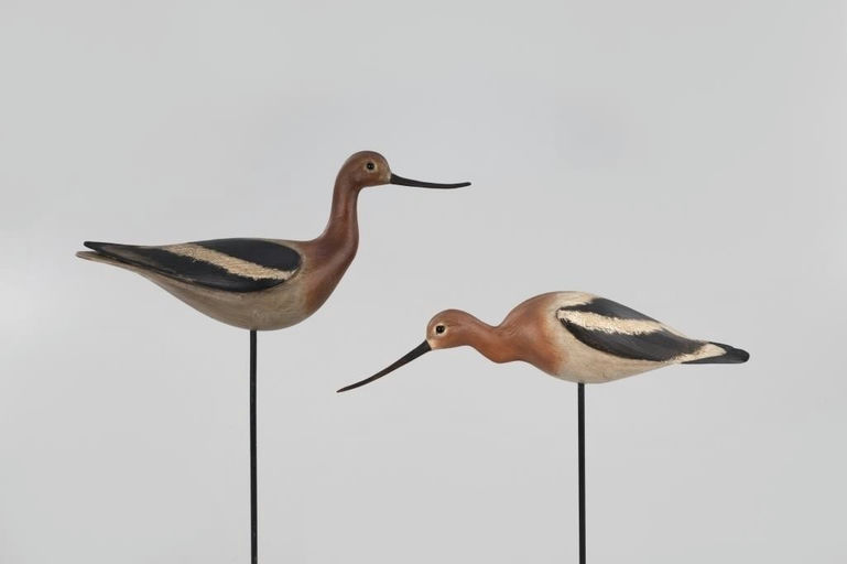 Bill Gibian – Avocet Pair – 2026