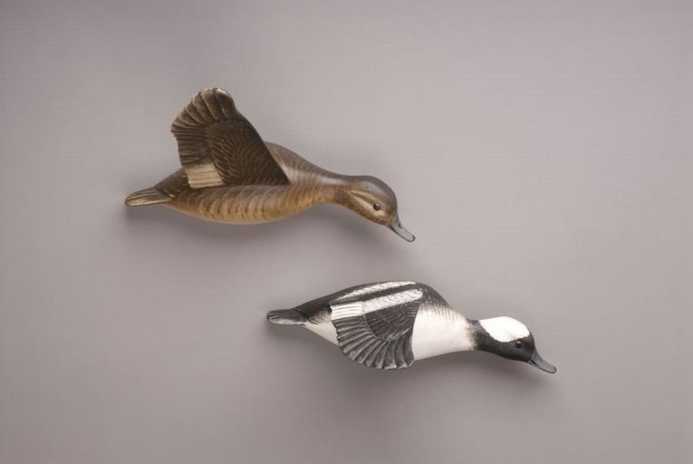Ken Kirby – Flying Bufflehead Pair – 2010