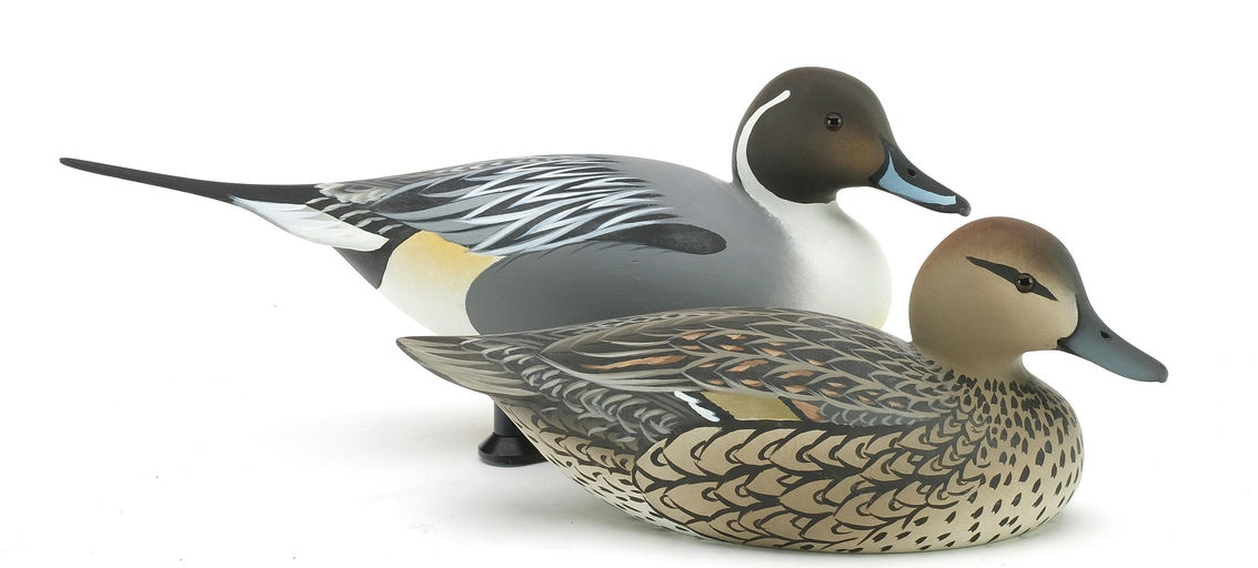 Oliver Lawson – Pair of Pintail – 2024