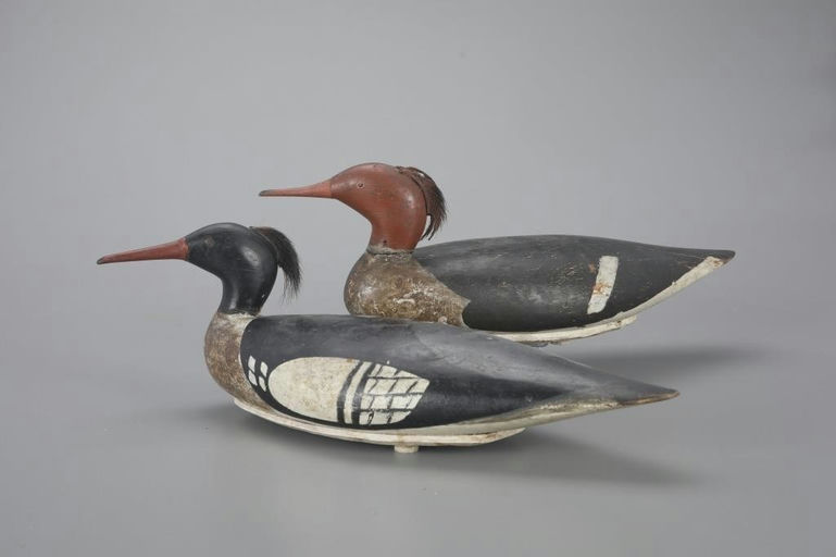 Orlando Os Bibber – Red-breasted Merganser Pair – 2023
