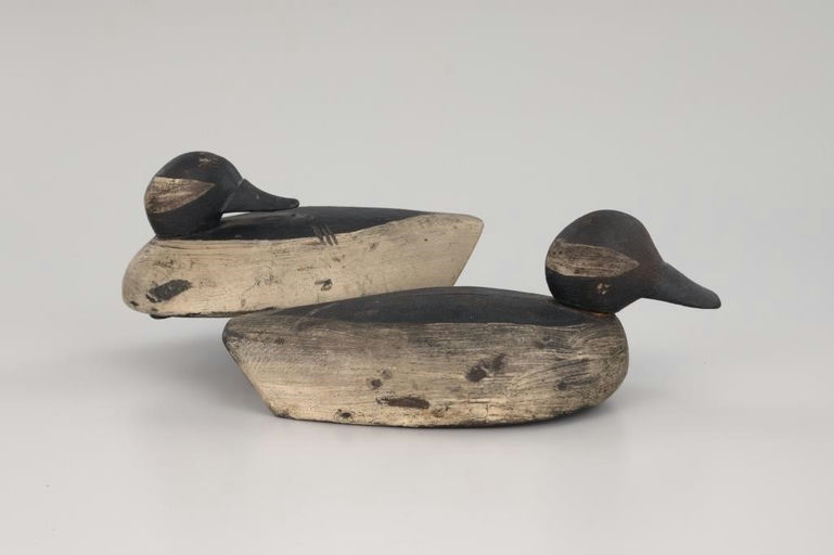 Finch Rig – Turned-head Bufflehead Pair – 2026