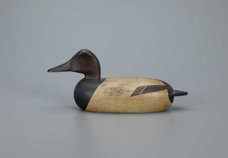 John Dawson – Canvasback Drake – 2020