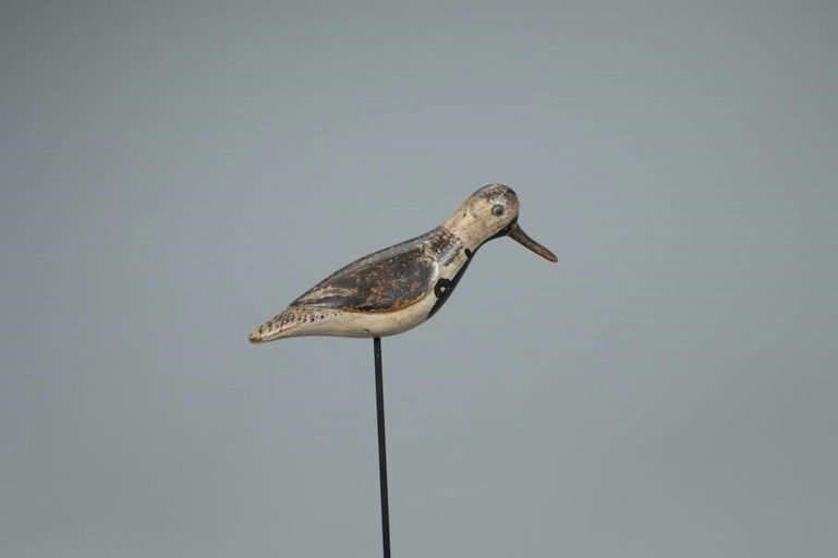 William H. Southard – Running Ruddy Turnstone – 2020