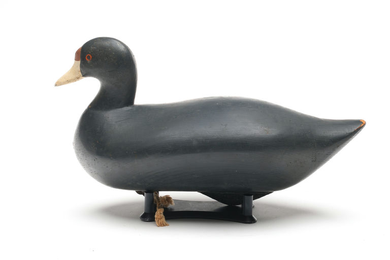 R. Madison Mitchell – Coot – 2026