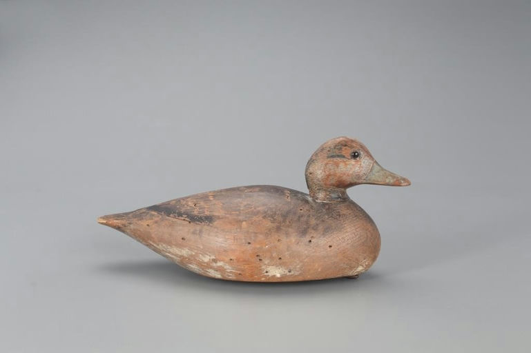 Elmer Crowell – Wigeon Drake – 2021