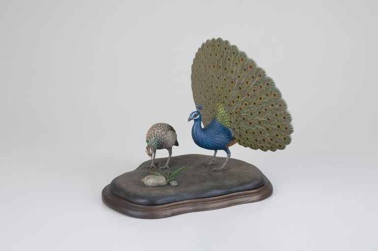 Eddie Wozny – Peacock Life – 2026