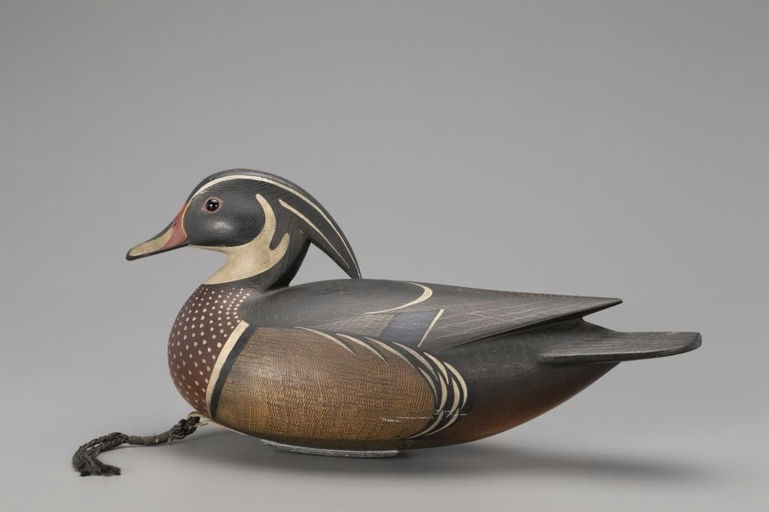 Mark McNair – Wood Duck – 2018