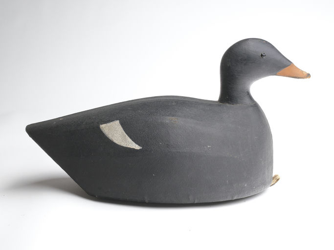 Joseph Lincoln – Scoter – 2023