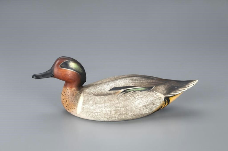 Jim Schmiedlin – Exceptional Green-Winged Teal – 2020