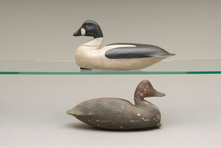 Lloyd Parker – Goldeneye and Redhead Drakes – 2010