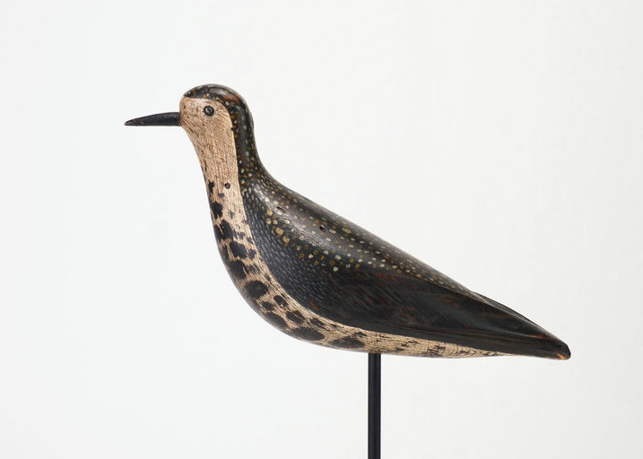 W.S. Morton – Golden Plover – 2026