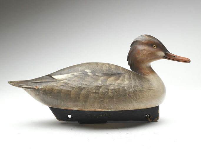 Jim Schmiedlin – Merganser Hen – 2023