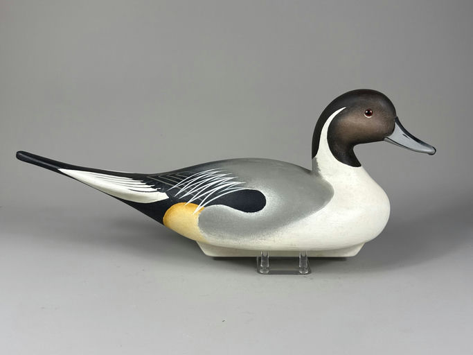 Charlie Joiner – Pintail – 2026