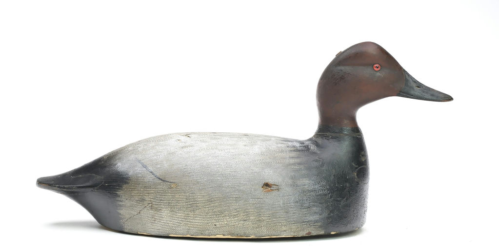 Chauncey Wheeler – Canvasback – 2025