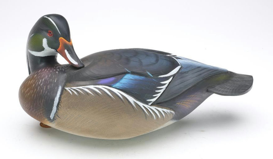 Sean Sutton – Preening Wood Duck – 2023