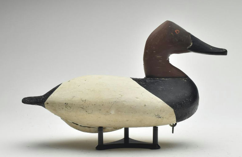 William Heverin – Canvasback – 2023
