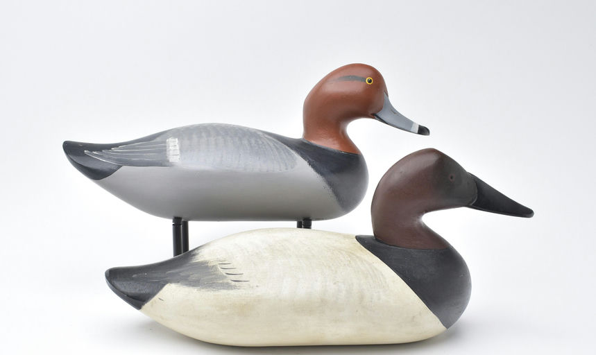 R. Madison Mitchell – Canvasback – 2025