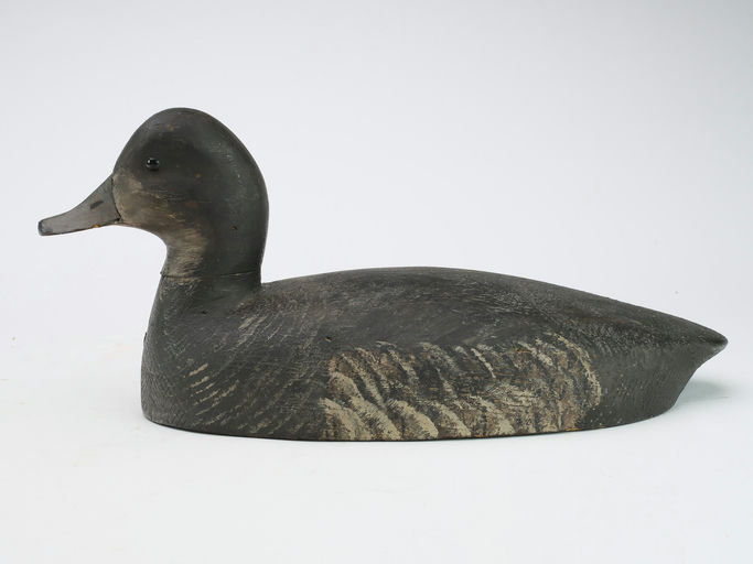 John R. Wells – Redhead Hen – 2024