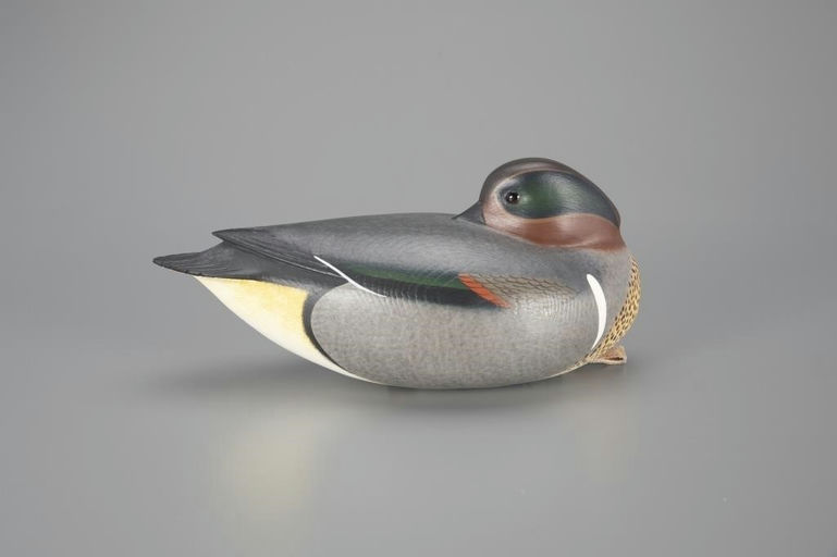Rick Brown – Sleeping Green-Winged Teal – 2024