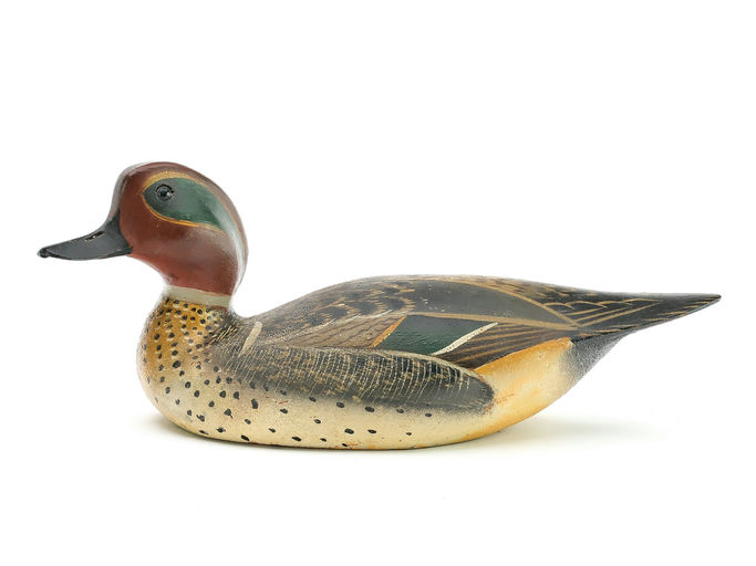 Ward Brothers – Greenwing teal – 2025