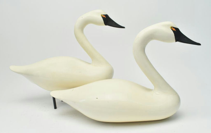 R. Madison Mitchell – Pair of Swans – 2023