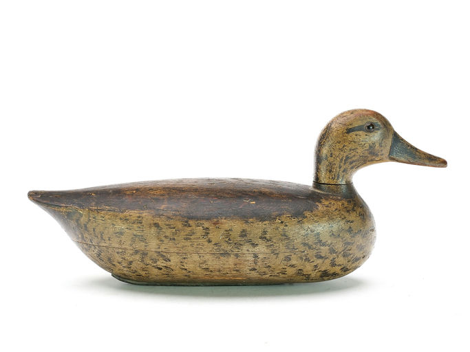 Charles Schoenheider, Sr. – Blue-winged Teal – 2025