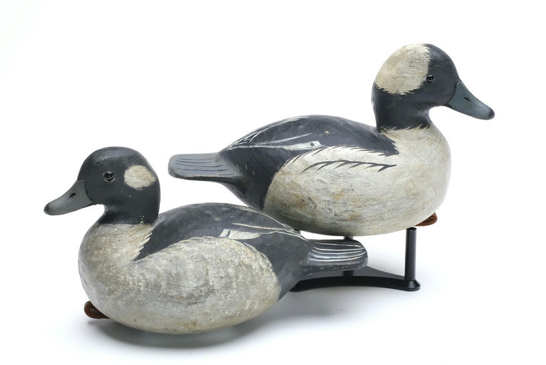 Reggie Birch – Bufflehead – 2025
